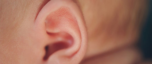 a baby's ear