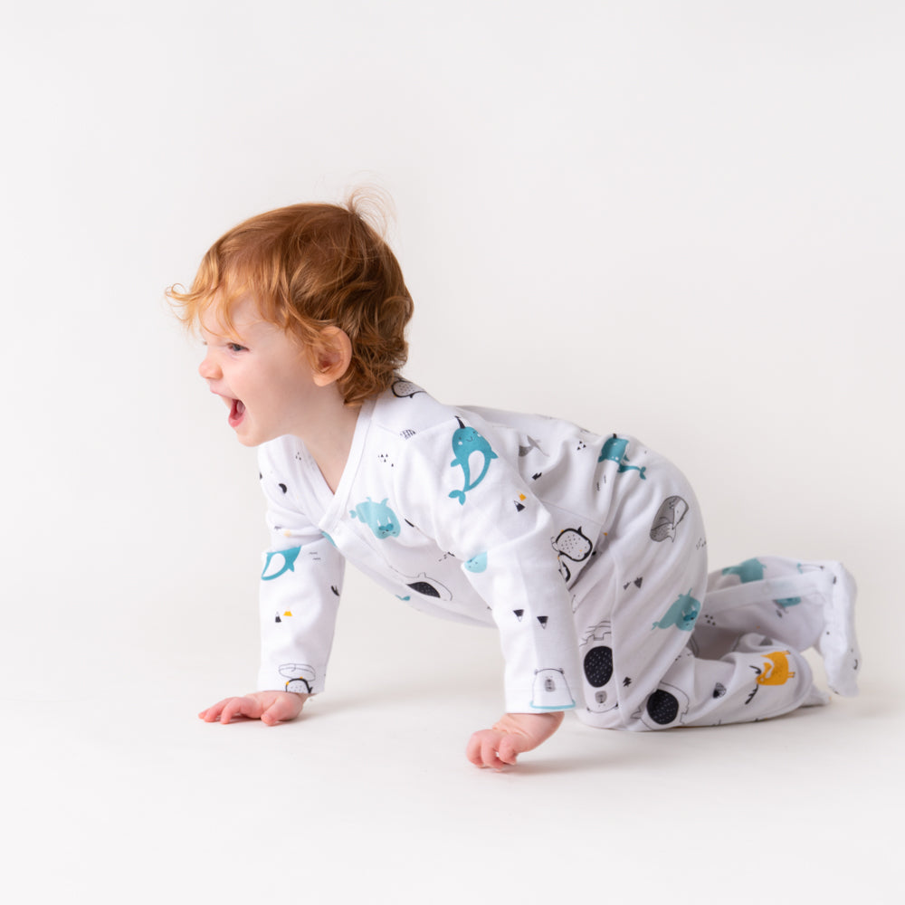 100% Organic Long Sleeve Baby Pyjamas - 2-pack